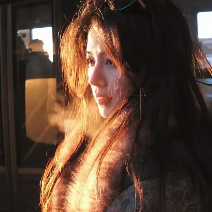 公鸡